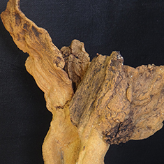 <h2>Deux figures ailées</h2> Terre rakù, oxydes métalliques, cuisson en réduction, <h2>2016</h2>