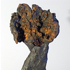 <h2>Figure Déployée</h2> Terre rouge enfumée, 15x10x4cm, <h2>2008</h2>