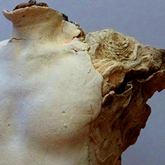 <h2>Xylolatrie</h2> Grès, oxydes métalliques, cuisson en réduction, 65x45x40cm, <h2>2016</h2>