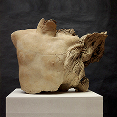 <h2>Torse racine</h2> Grès, engobes, oxydes métalliques, 52x67x28m, <h2>2015</h2>